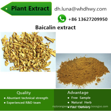 Baicalin 20%-90% Plant Extract Factory Cosmetic Raw Materials Baicalin